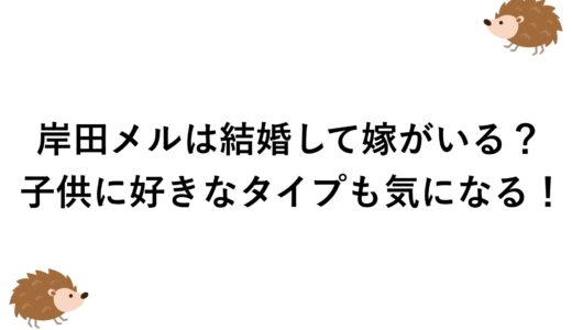 岸田メルは結婚して嫁がいる？子供に好きなタイプも気になる！