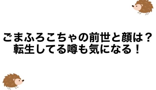 ごまふろこちゃの前世と顔は？転生してる噂も気になる！