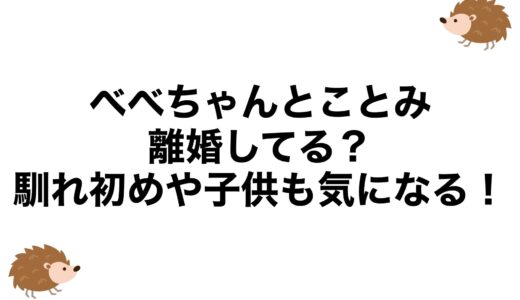 べべちゃんとことみは離婚してる？馴れ初めや子供も気になる！