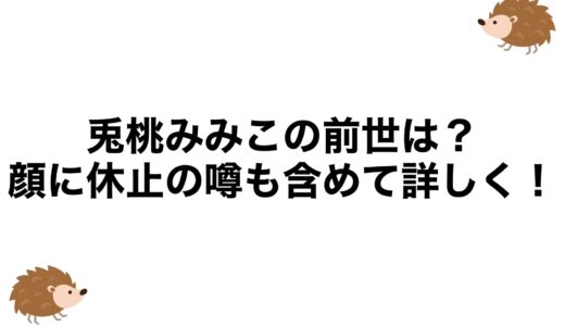 兎桃みみこの前世は？顔に休止の噂も含めて詳しく！