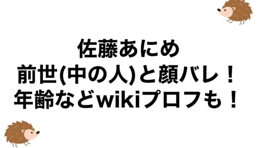 佐藤あにめの前世(中の人)と顔バレ！年齢などwikiプロフも！