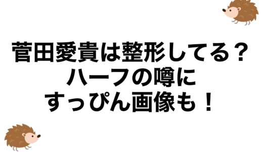 菅田愛貴は整形してる？ハーフの噂にすっぴん画像も！