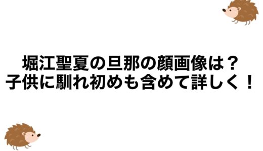 堀江聖夏の旦那の顔画像は？子供に馴れ初めも含めて詳しく！