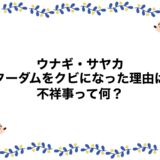 ウナギ・サヤカがスターダムをクビになった理由は？不祥事って何？