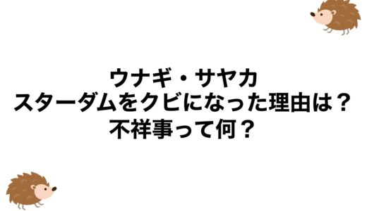 ウナギ・サヤカがスターダムをクビになった理由は？不祥事って何？
