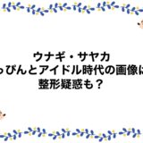 ウナギ・サヤカのすっぴんとアイドル時代の画像は？整形疑惑も？