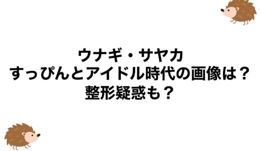 ウナギ・サヤカのすっぴんとアイドル時代の画像は？整形疑惑も？