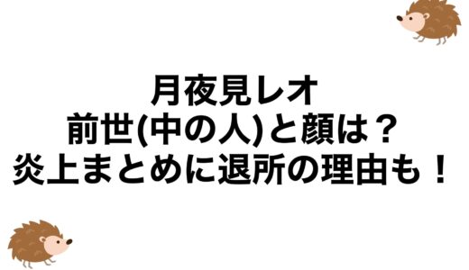 月夜見レオの前世(中の人)と顔は？炎上まとめに退所の理由も！