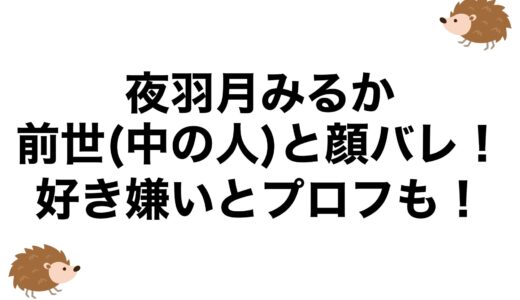 夜羽月みるかの前世(中の人)と顔バレ！好き嫌いとプロフも！