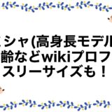 ミシャ(高身長モデル)の年齢などwikiプロフ！スリーサイズも！