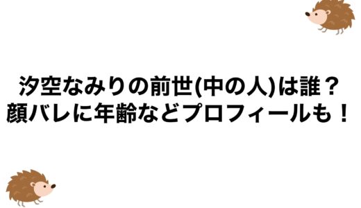 汐空なみりの前世(中の人)は誰？顔バレに年齢などプロフィールも！