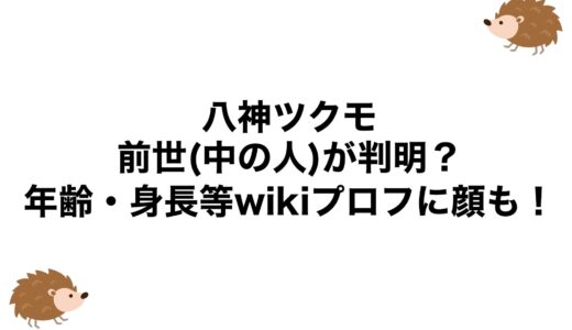 八神ツクモの前世(中の人)が判明？年齢・身長等wikiプロフに顔も！