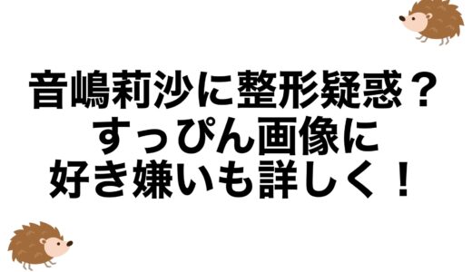 音嶋莉沙に整形疑惑？すっぴん画像に好き嫌いも詳しく！