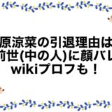 凪原涼菜の引退理由は？前世(中の人)に顔バレ・wikiプロフも！