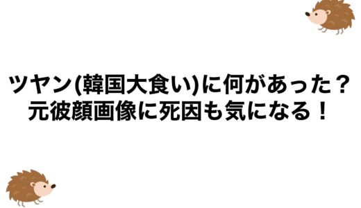 ツヤン(韓国大食い)に何があった？元彼顔画像に死因も気になる！