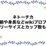 ネトーチカの年齢や身長などwikiプロフ！スリーサイズとカップ数も！