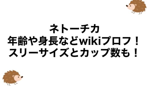 ネトーチカの年齢や身長などwikiプロフ！スリーサイズとカップ数も！