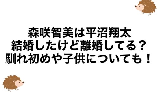森咲智美は平沼翔太と結婚したけど離婚してる？馴れ初めや子供についても！