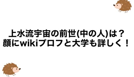 上水流宇宙の前世(中の人)は？顔にwikiプロフと大学も詳しく！