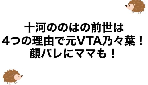 十河ののはの前世は4つの理由で元VTA乃々葉！顔バレにママも！