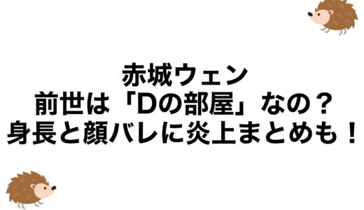 赤城ウェンの前世は「Dの部屋」なの？身長と顔バレに炎上まとめも！