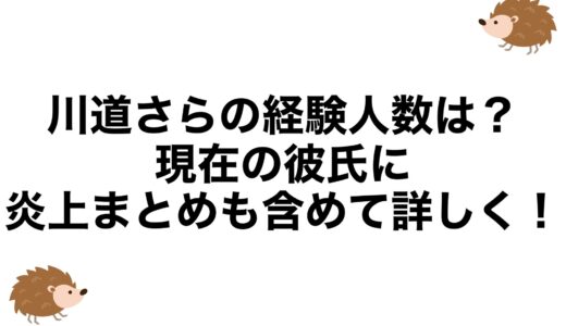 川道さらの経験人数は？現在の彼氏に炎上まとめも含めて詳しく！
